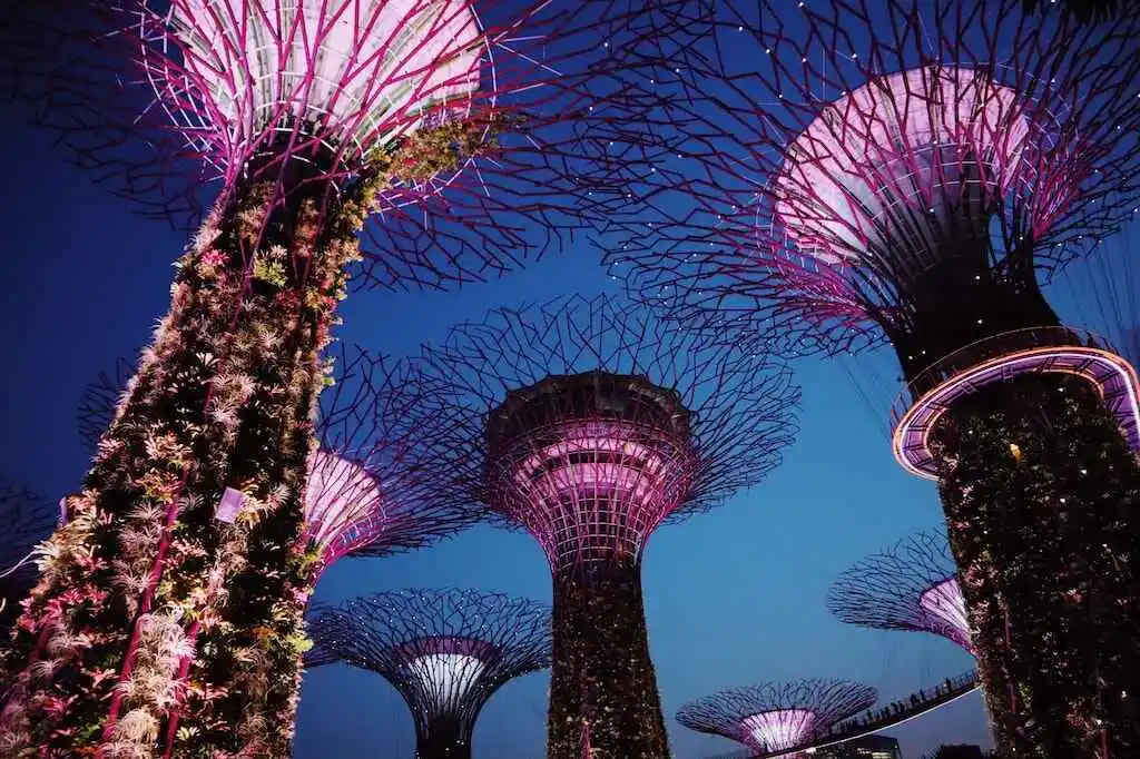 10 Best Italian Restaurants in Singapore